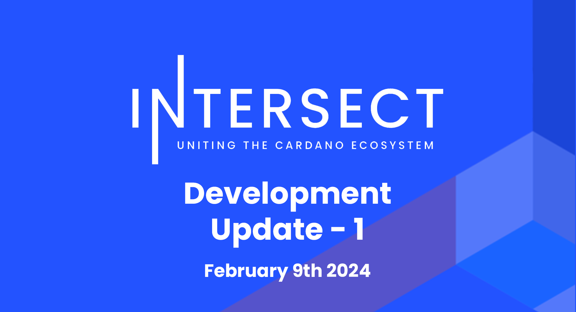 Intersect Development Update #1 – Feb 9th