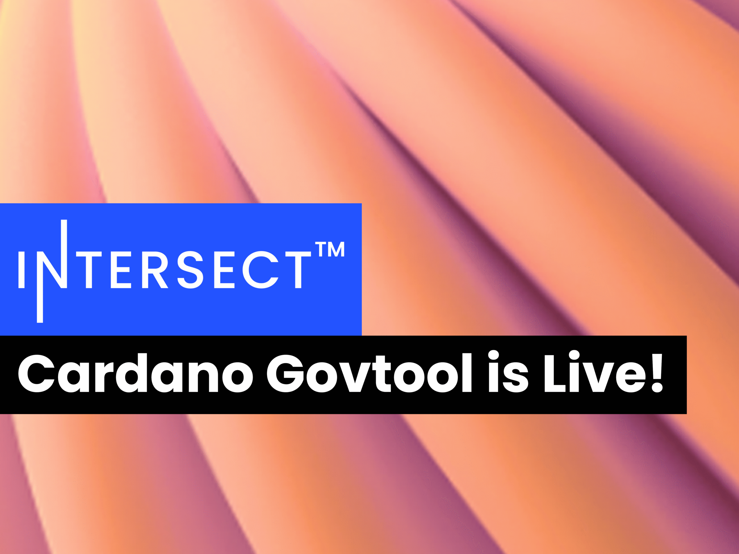 Announcing the release of Cardano GovTool