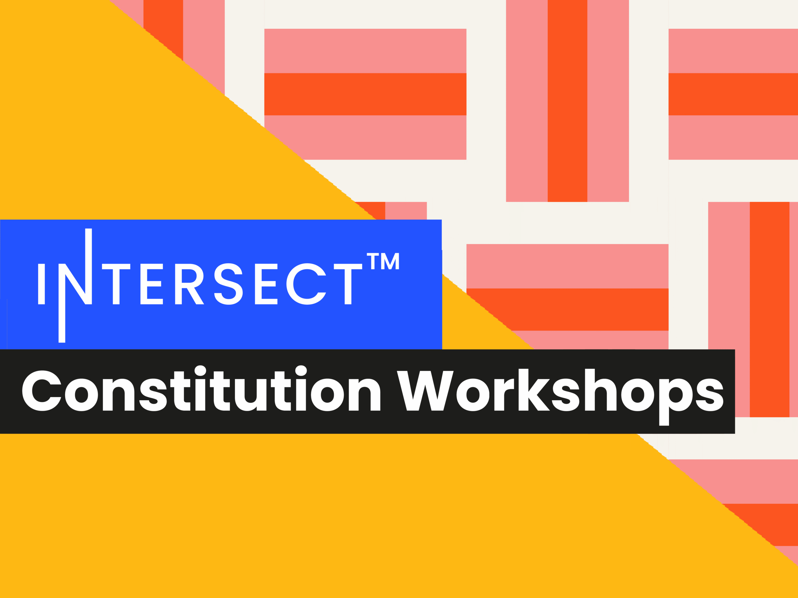 Celebrating the journey – constitutional workshops