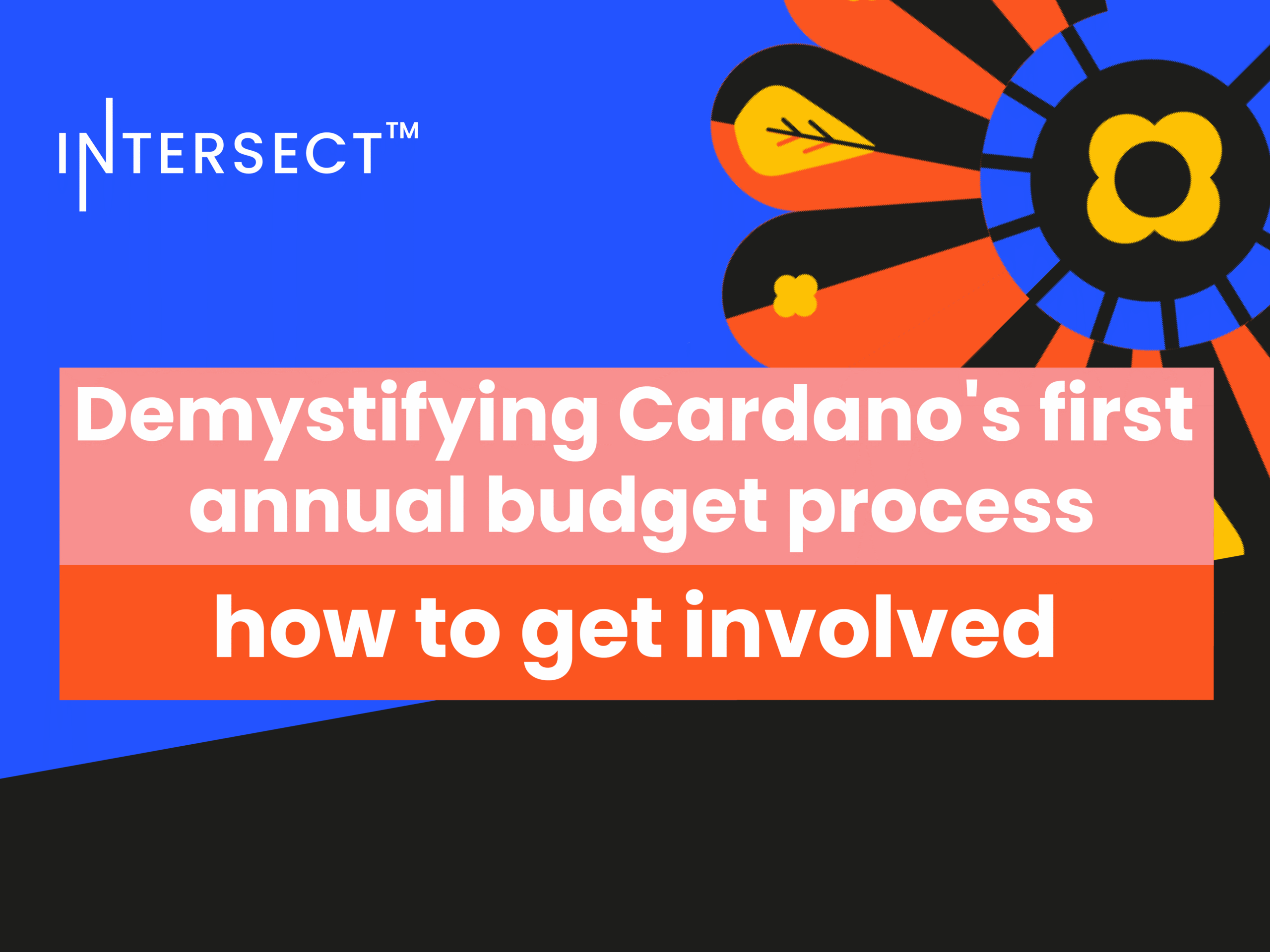 Demystifying Cardano’s first annual budget process & how to get involved