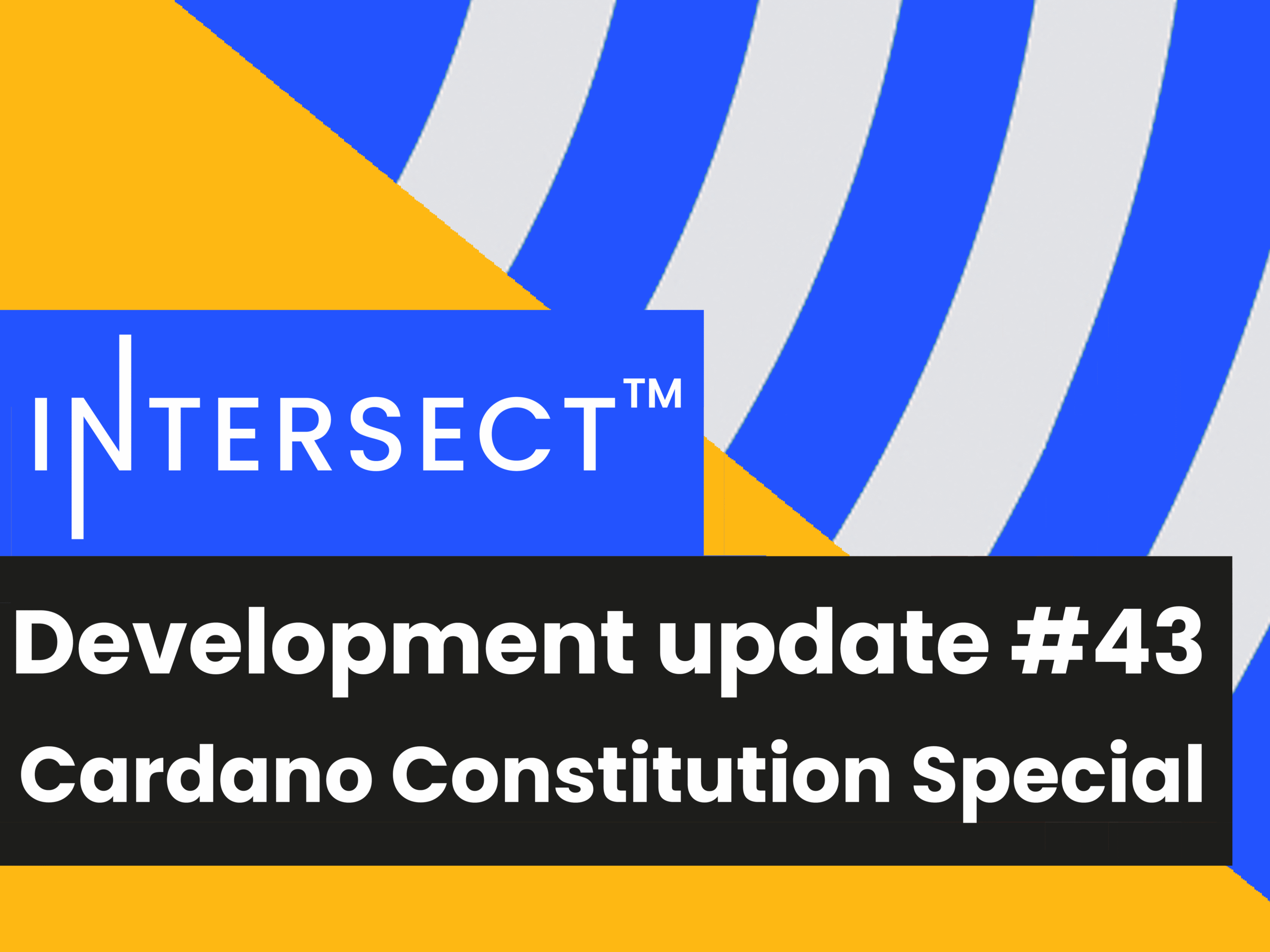 Intersect Development Update #43 – Cardano Constitution Special – December 6th