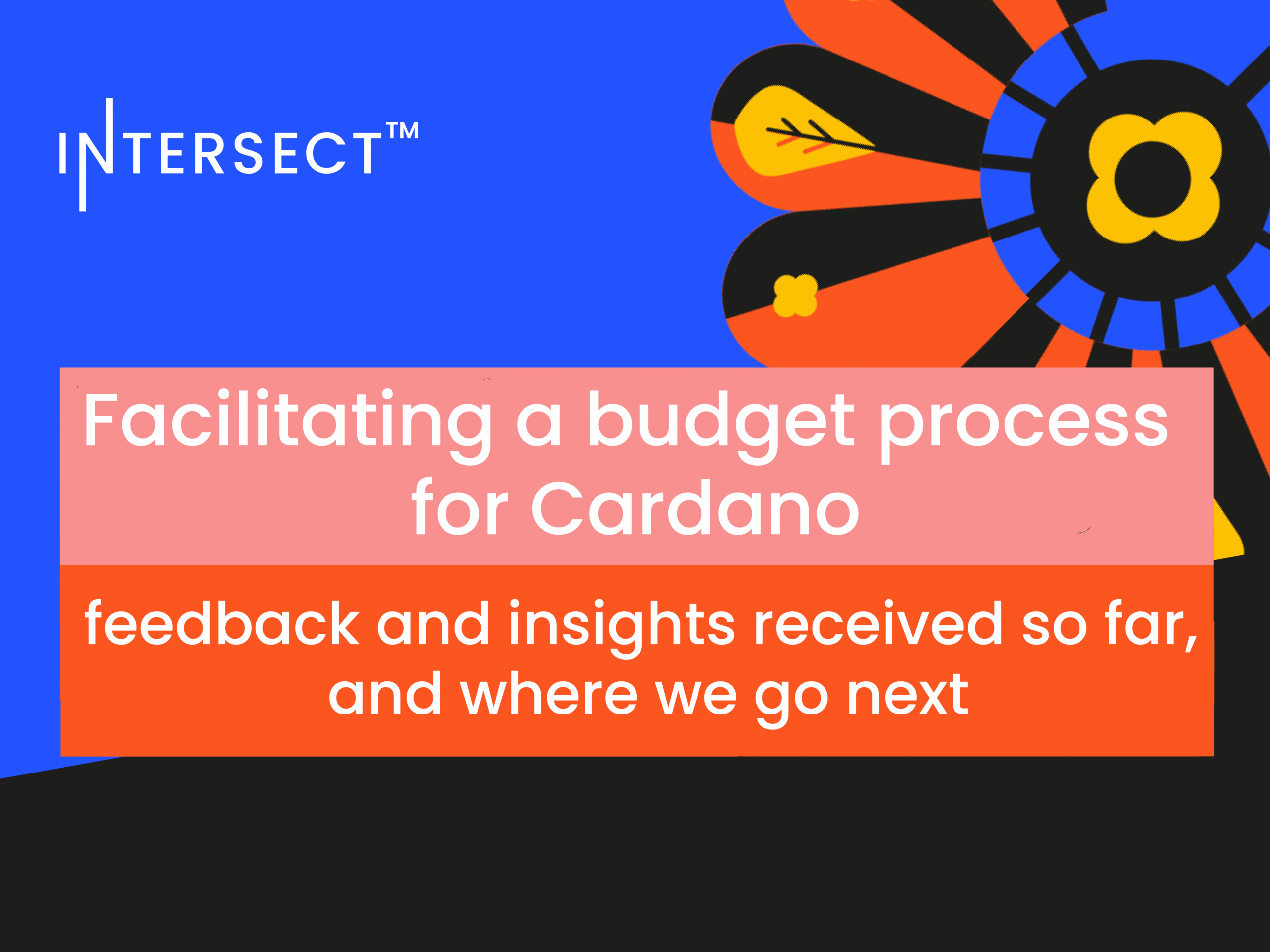 Facilitating a budget process for Cardano – feedback and insights received so far, and where we go next