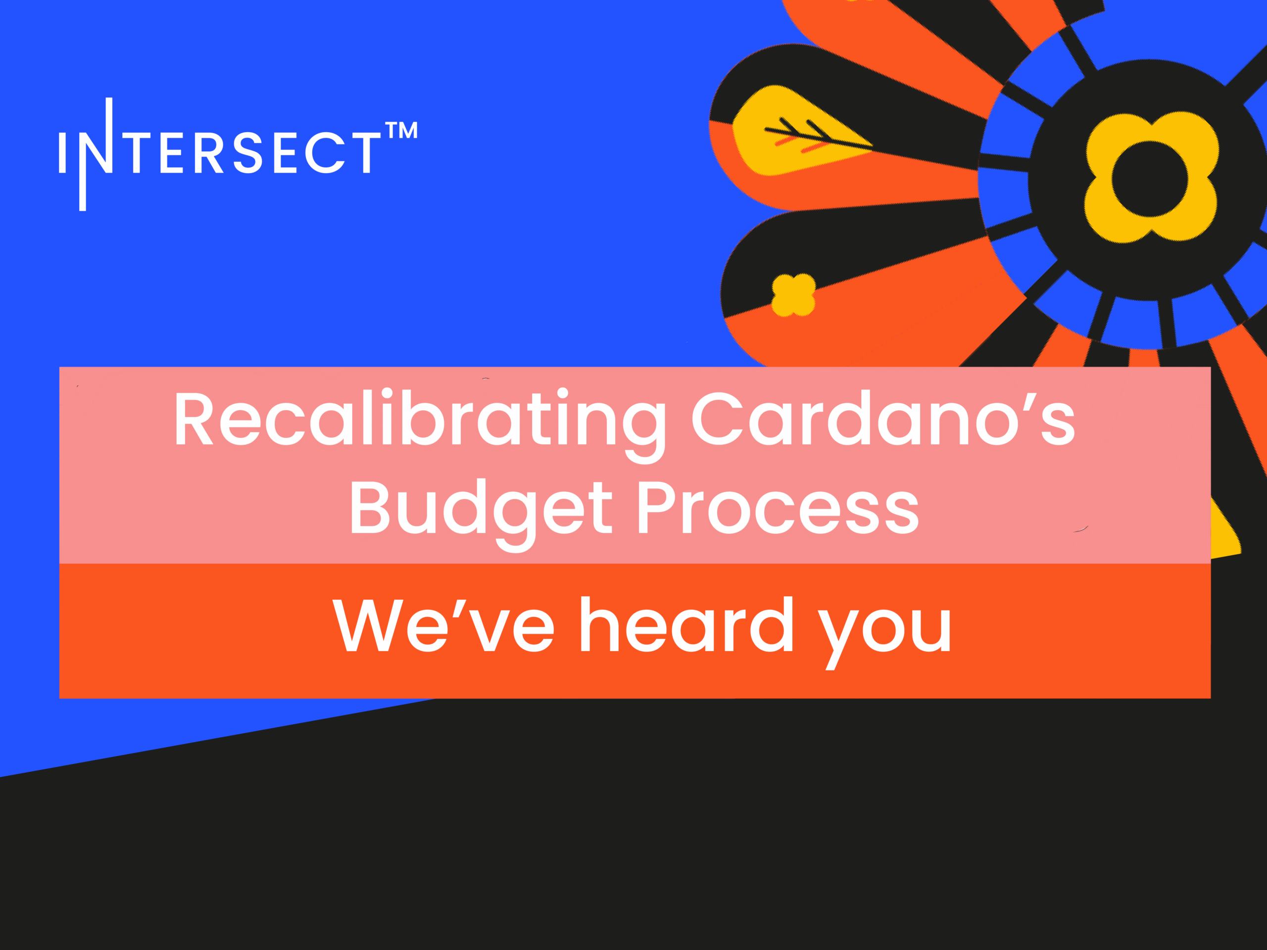 Recalibrating Cardano’s Budget Process: We’ve heard you
