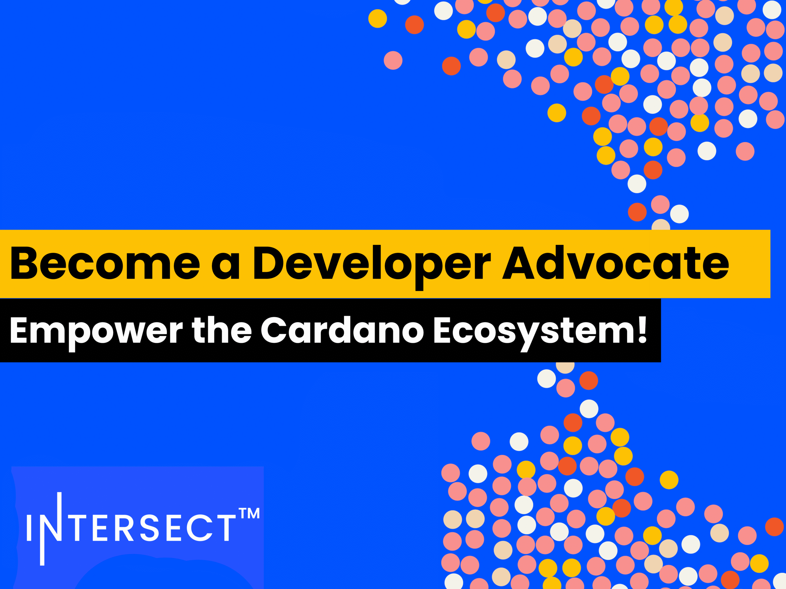 Join the second Developer Advocate Cohort and empower the Cardano ecosystem!