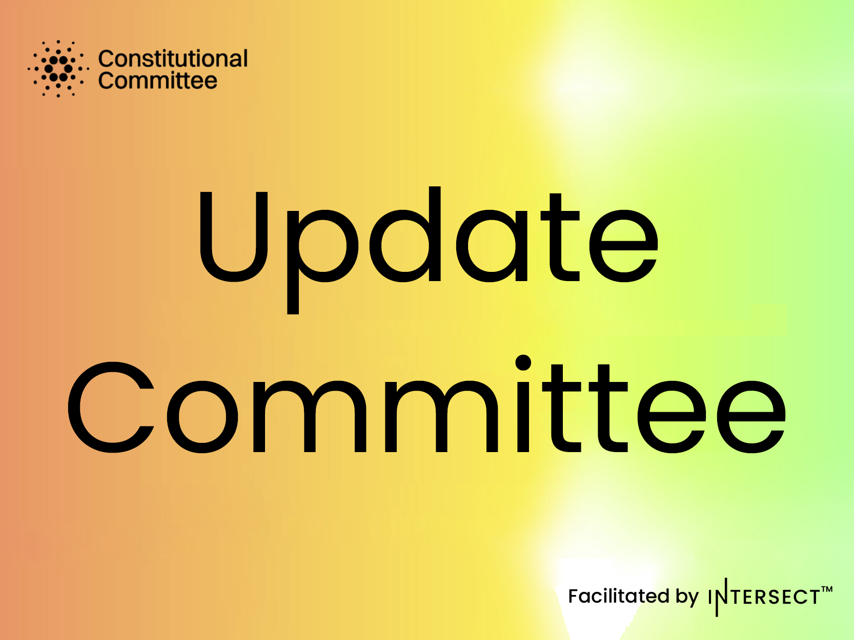 Voting underway to confirm the new Constitutional Committee