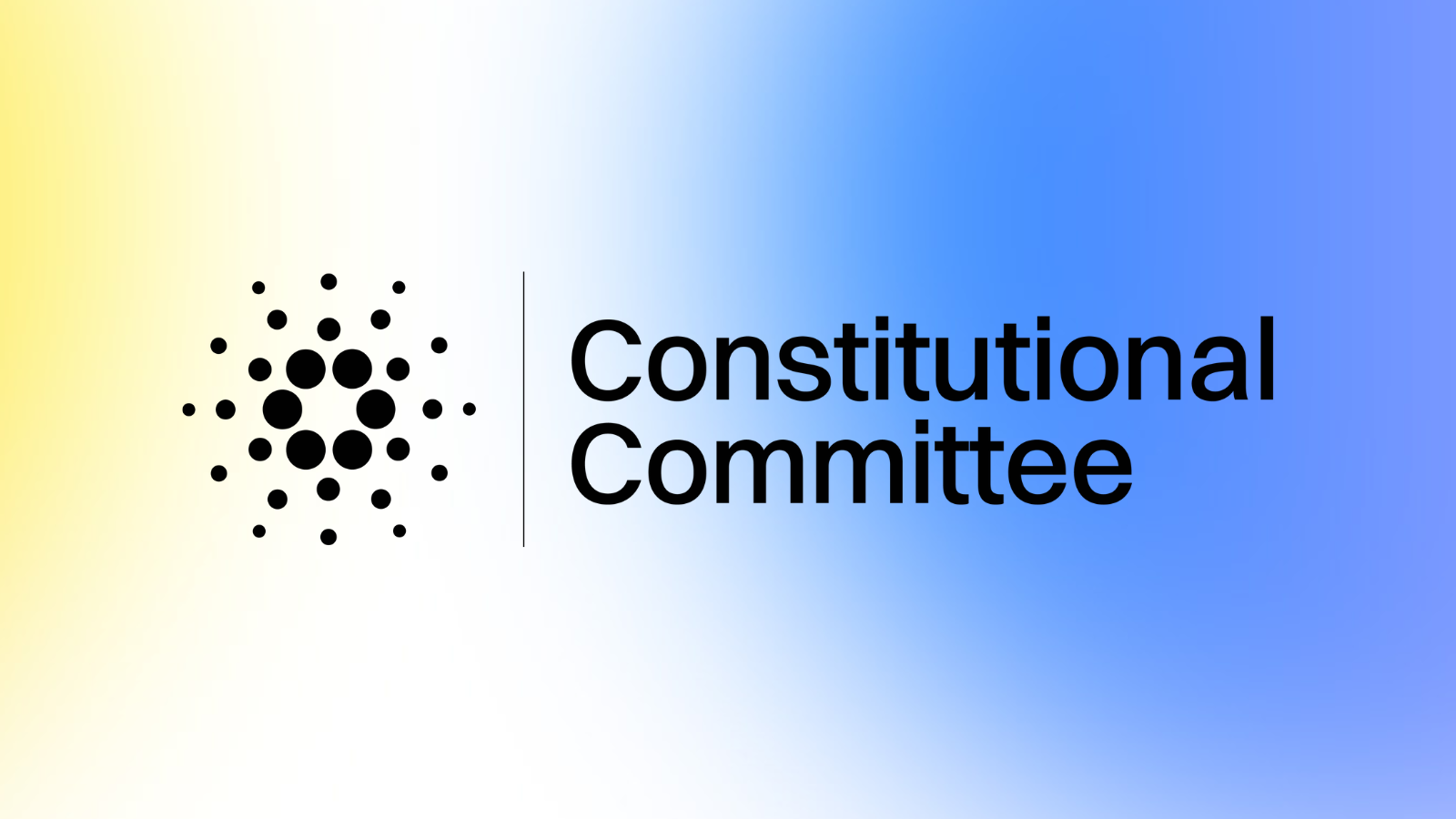 Constitutional Committee Elections 2025: What happened, who was selected, how it worked – and why it matters