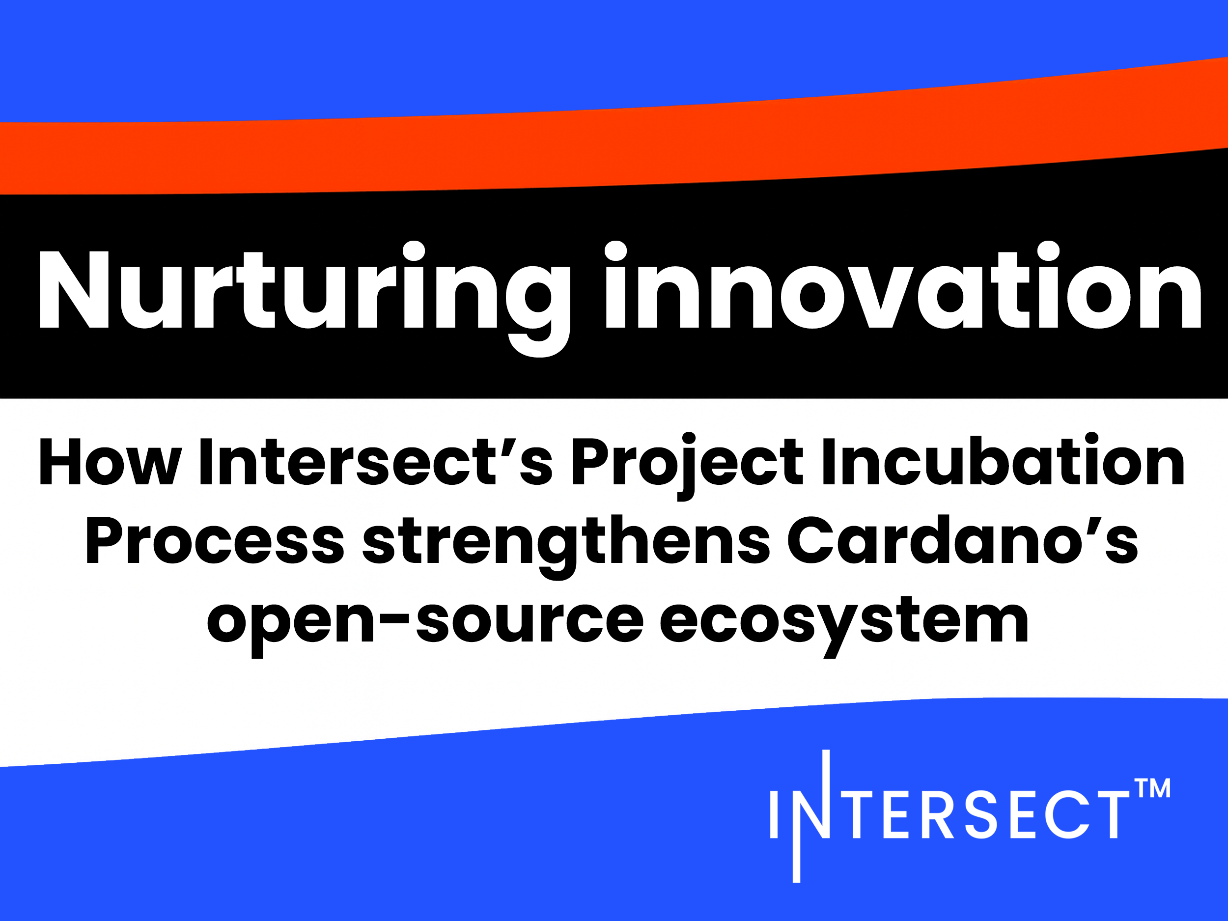 Nurturing innovation: how Intersect’s project incubation process strengthens Cardano’s open-source ecosystem